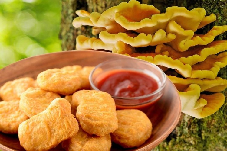 Przepis na nuggetsy z żółciaka siarkowego