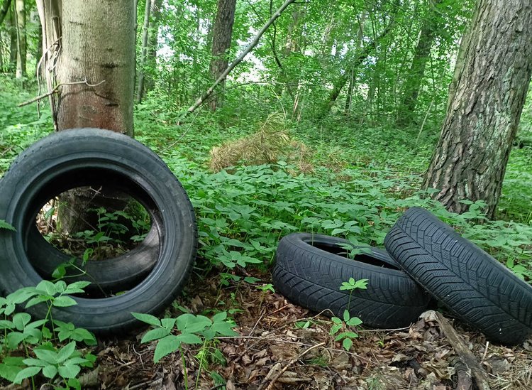 Wyrzucił do lasu 90 kg śmieci. Policja odnalazła go dzięki kodom kreskowym 