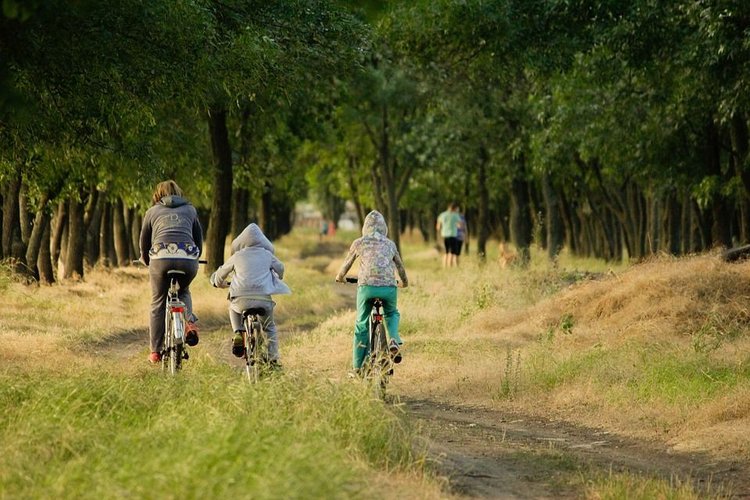 Składka zdrowotna – kto nie musi jej opłacać?