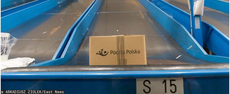 Egzotyczne zwierzę w sortowni poczty w Kielcach. Pracownicy oniemieli