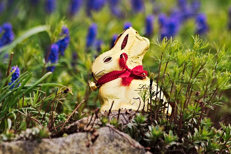Lindt wygrał w sądzie. Lidl wycofuje złote króliczki ze sprzedaży 