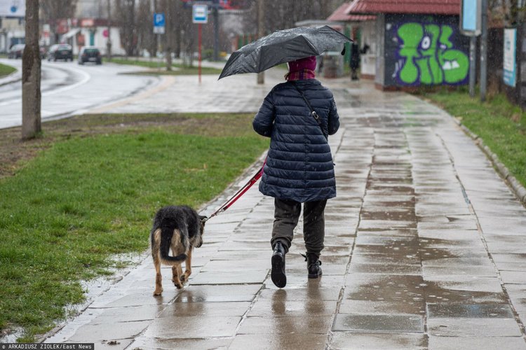 Burmistrz włoskiego miasteczka daje mandaty za szczekanie psa. Obrońcy praw zwierząt oburzeni