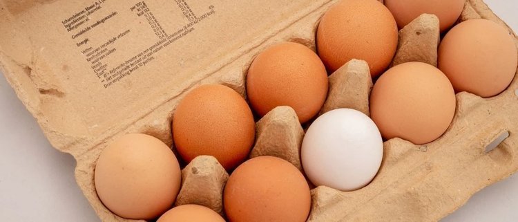 Wytłaczanka po jajkach ma ukryte funkcje. Są bardzo przydatne