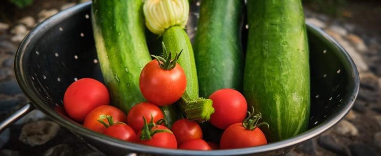 Jedna cukinia i jeden pomidor za 16,46 zł. Warzywa dobijają już niemal do 30 zł za kilogram
