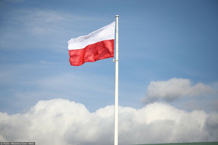 Polska firma technologiczna zmieniła nazwę. FOTC współpracuje z Google 