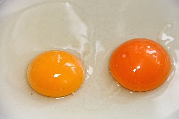 Co oznacza kolor żółtka?