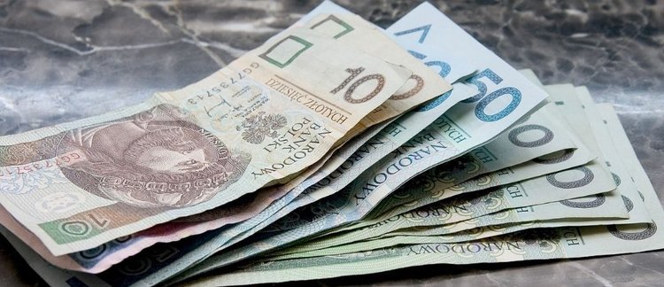 Kondycja polskiej waluty na początku 2023 roku