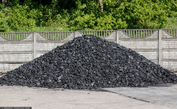 PGG już pracuje nad własną siecią składów węgla. Szuka partnerów i stawia warunki