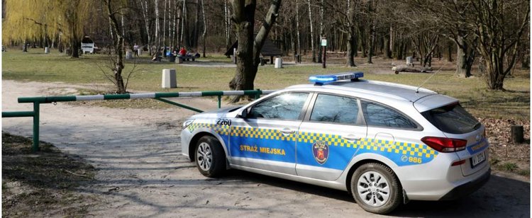 Straż miejska jak straż ekologiczna. Surowe mandaty za działanie na szkodę środowiska