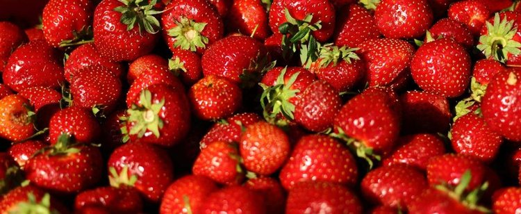 Gdzie znaleźć najtańsze truskawki? Ceny są o ponad połowę niższe, jednak jest jeden warunek