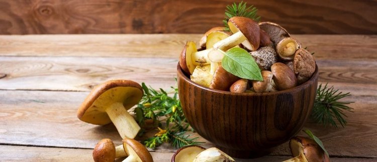 Bajecznie pyszna pasta z grzybów leśnych do słoików na zimę