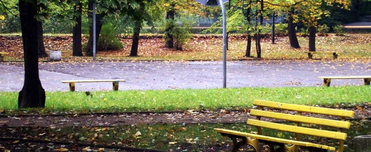 Dostaje 1,1 tys. zł renty miesięcznie. Przed 12 tys. zł mandatu uchronił ją RPO