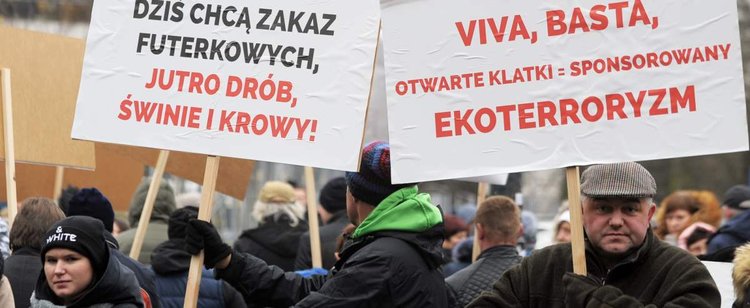 PSL żąda poprawek do Piątki dla zwierząt. W innym przypadku większość senacka będzie zagrożona