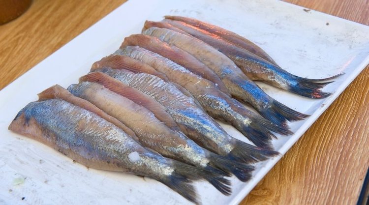 Jak poprawnie namoczyć śledzie? Poradnik krok po kroku