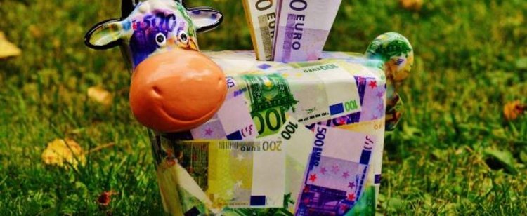 Ogromne pieniądze dla polskiego rolnictwa. Powstaje nowy fundusz