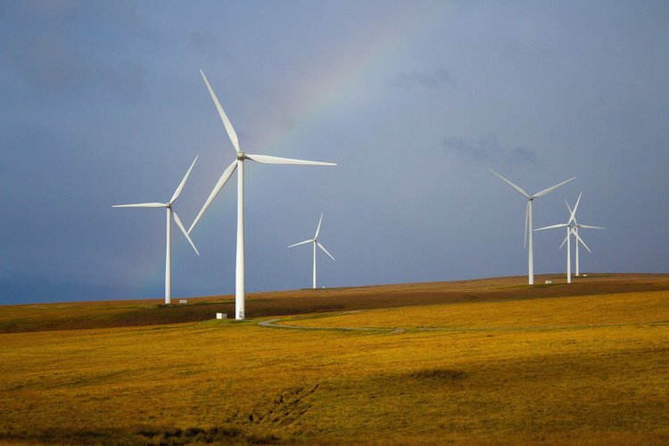 Rozpoczęto badania środowiskowe dla morskiej farmy wiatrowej Baltica 1