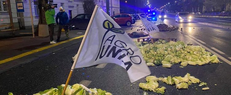 Sprzedają za 15 groszy, w sklepie płacisz złotówkę. Wściekli rolnicy nie wytrzymali, zaskoczyli akcją pod domem Kaczyńskiego