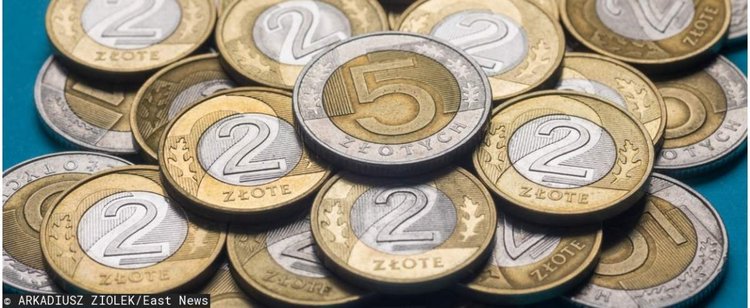 Duże zaskoczenie analityków. Kurs złotego inny od oczekiwań