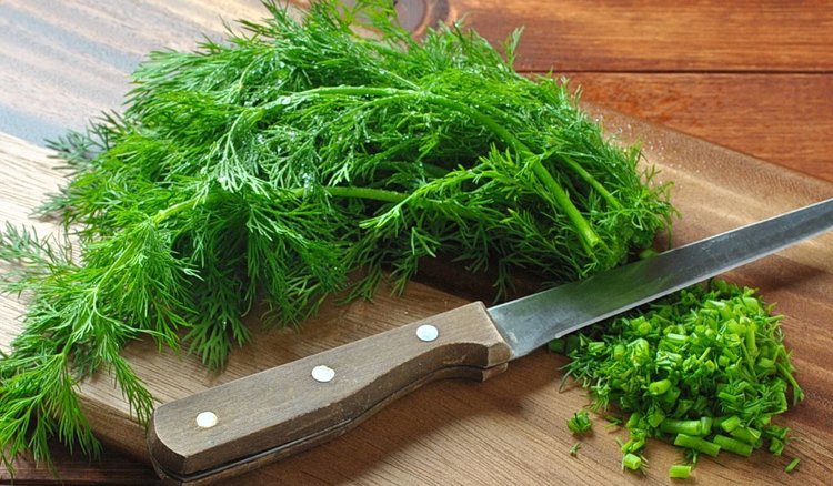 W jaki sposób najlepiej utrwalić koperek? Aromatyczny dodatek zawsze pod ręką