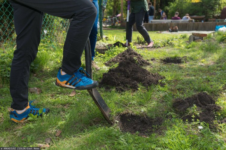 Policja przepędza poszukiwaczy bursztynu z Mierzei Wiślanej. Na terenie przekopu wiele interwencji 