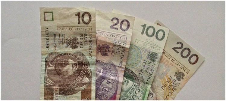 Dopłaty nawet na 20 tys. zł. Łódź wyłoży pieniądze na prywatną zieleń