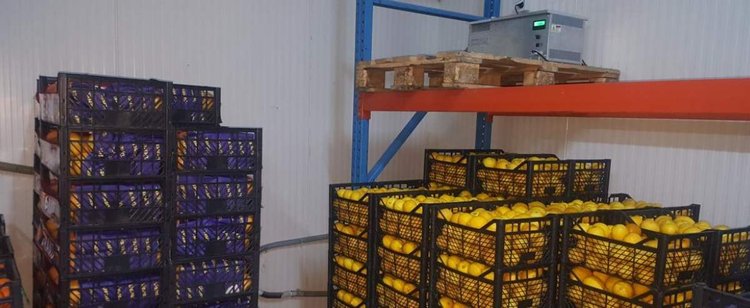 Jedna rzecz koronawirusowi się nie udała. Dostawy nadal mają się dobrze