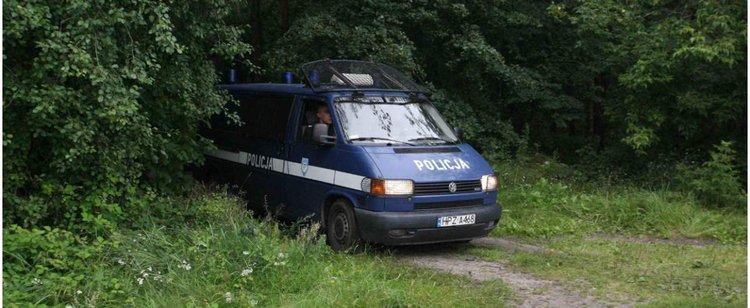W lesie także możesz dostać mandat 500 zł. Łatwiej niż ci się wydaje