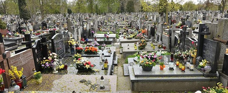 Władze miasta na Podkarpaciu zbuntowały się rządowym restrykcjom. Otworzyli cmentarze