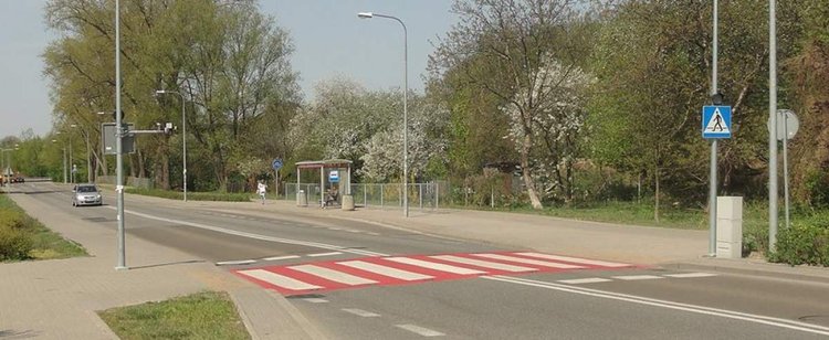 Olbrzymie zmiany w przepisach drogowych. Piesi z zakazem używania telefonów