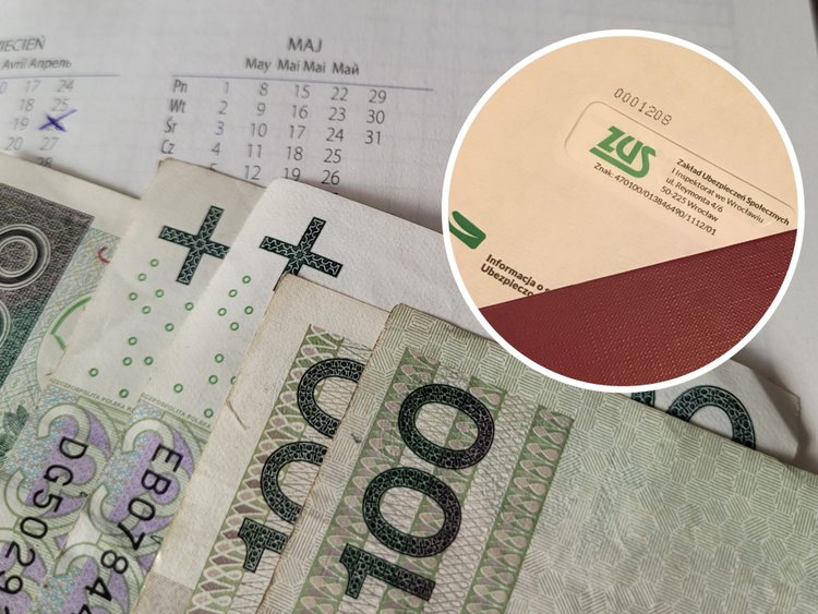800 plus. ZUS przekazał ważne informacje. Chodzi o formalności oraz terminy wypłat
