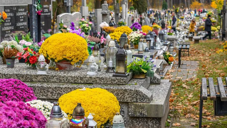 Te kradzieże to plaga 1 listopada. Da się przed nimi uchronić, są proste sposoby