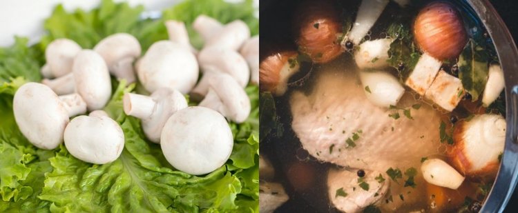 W jaki sposób można wykorzystać obierki po pieczarkach?