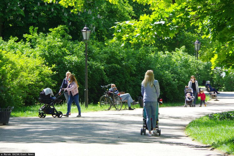 Zaskakujące wyniki badania, Polki wcale nie oczekują pieniędzy z "babciowego". Większość wskazuje zupełnie inną formę wsparcia