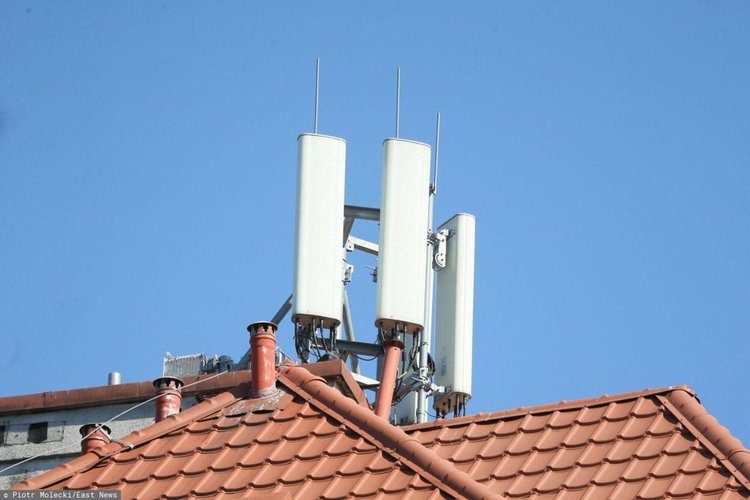 Masowe zwolnienia w potężnej korporacji. Firma zatrudnia w Polsce tysiące osób