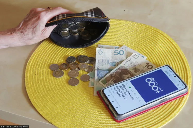 ZUS wydał komunikat. Chodzi o wnioski o 800+
