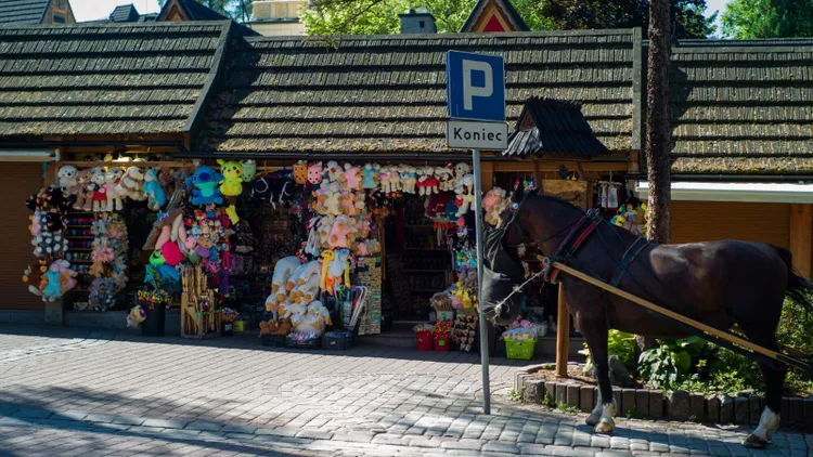 LOT przywraca kluczowe połączenie na wakacje. W Zakopanem zacierają ręce, tych turystów znowu przybędzie