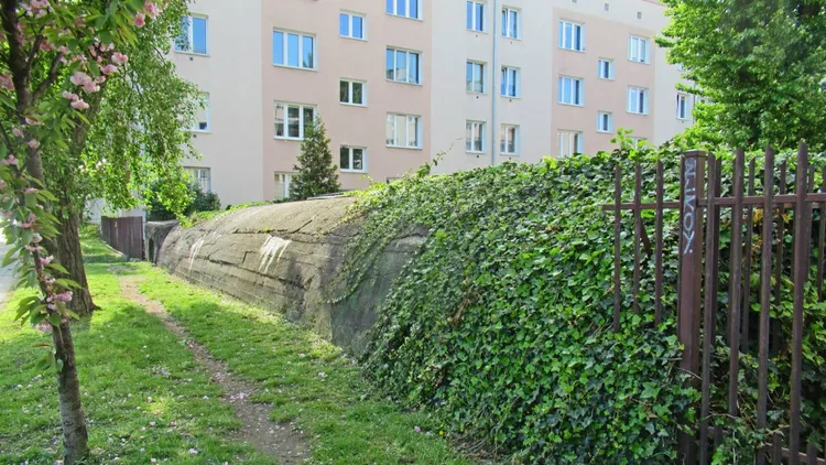 Strażacy i inspektorzy wejdą do budynków w całej Polsce. Sprawdzą, czy król jest nagi