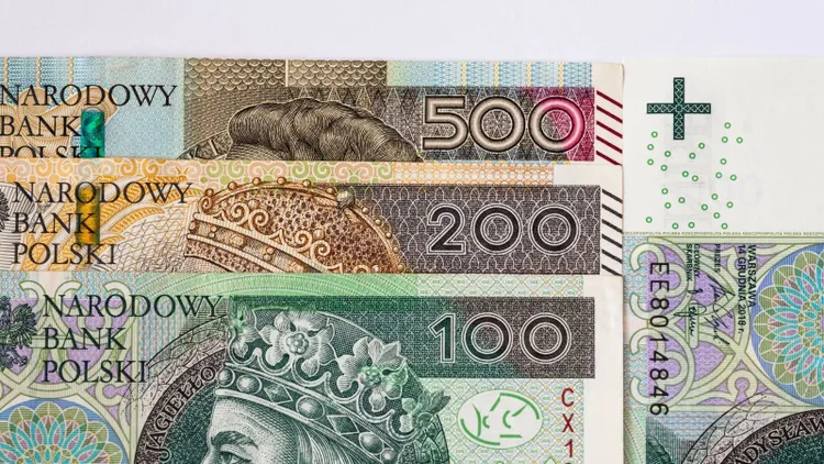 Te osoby 800 plus nie dostaną. ZUS nie pozostawia złudzeń