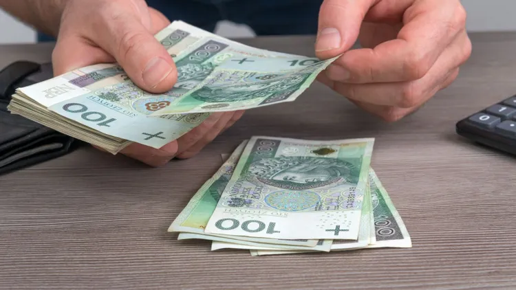 Masz takiego kota, zapłacisz podatek. W tym przypadku nie ma zmiłuj, skarbówka dowie się od razu
