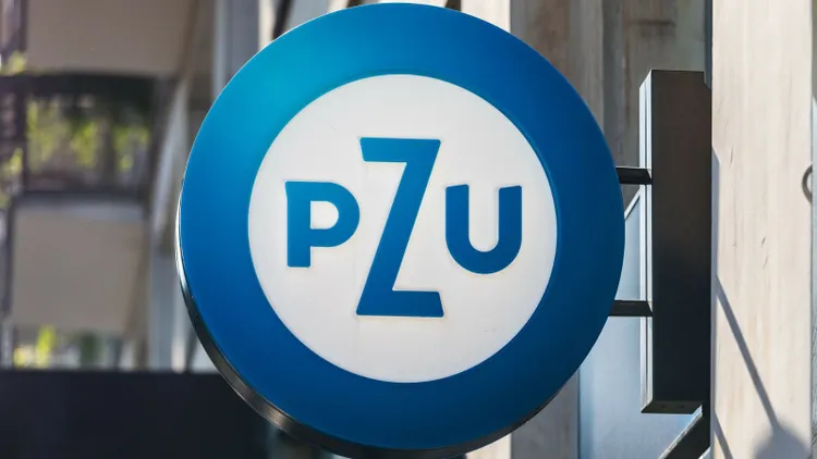 Miliardy na koncie polskiego giganta. Niebotyczny wynik miażdży oczekiwania