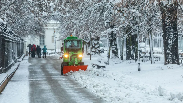  Atak śnieżycy w polskim regionie. Połamało drzewa, dziesiątki ludzi bez prądu