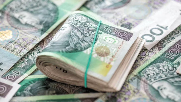 Jaka forma opodatkowania jest najkorzystniejsza? Polacy muszą podjąć decyzję do 20 lutego