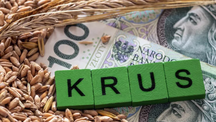 Przez 41 lat pracował na roli. KRUS wypłaca mu tyle emerytury, ta kwota to nie żart