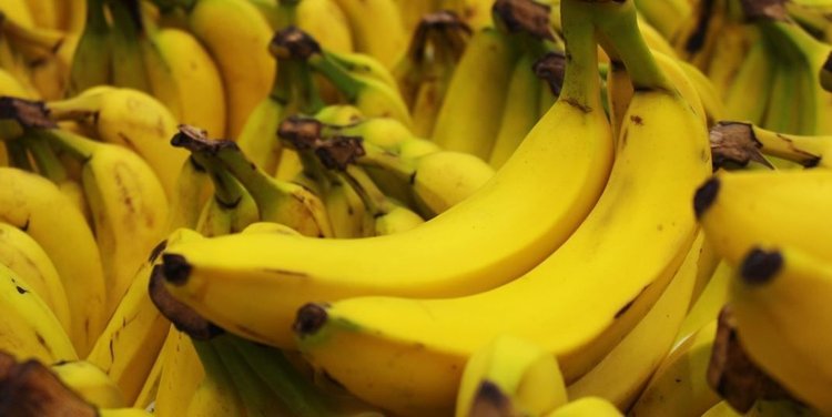 Prozdrowotne zalety bananów