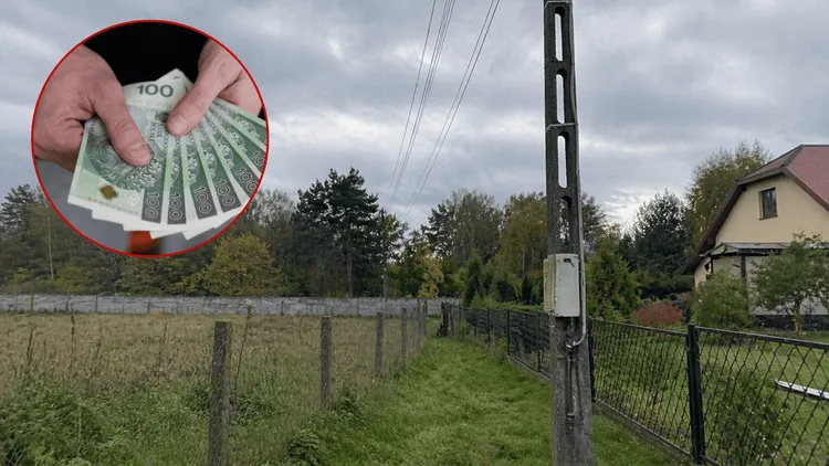 Masz słup na działce? Możesz dostać nawet 50 tys. zł odszkodowania. Kluczowy jest jeden zapis