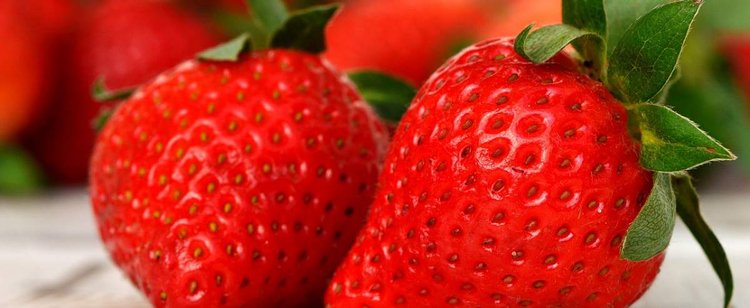 Truskawki nie muszą kosztować 20 zł za kilogram. Jest legalny sposób, możesz zapłacić 4 razy mniej
