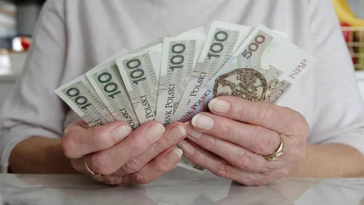 Seniorzy mogą liczyć na duże zniżki. Wystarczy kilka kroków, aby otrzymać dokument