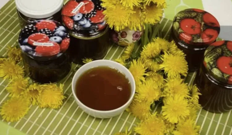 Babcia Ewa ma najlepszy przepis na miód z mniszka. Robię go co roku o tej porze