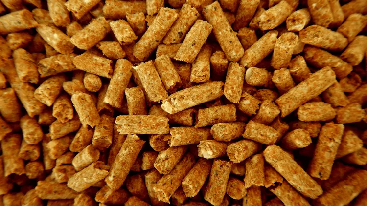 Polacy nie mogą kupić pelletu. Rząd uspokaja: Kryzysu nie ma