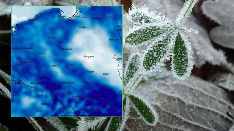 Prognozy na maj nie pozostawiają złudzeń. "Zimni ogrodnicy" uderzą bardzo mocno